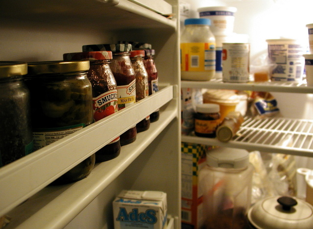 inside-our-refrigerator-1254733-639x466